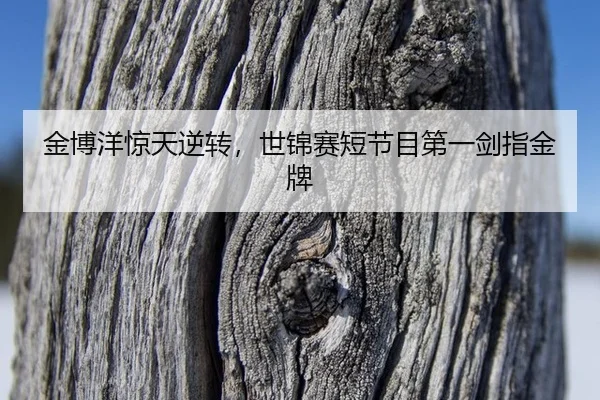 金博洋惊天逆转，世锦赛短节目第一剑指金牌