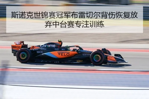 斯诺克世锦赛冠军布雷切尔背伤恢复放弃中台赛专注训练